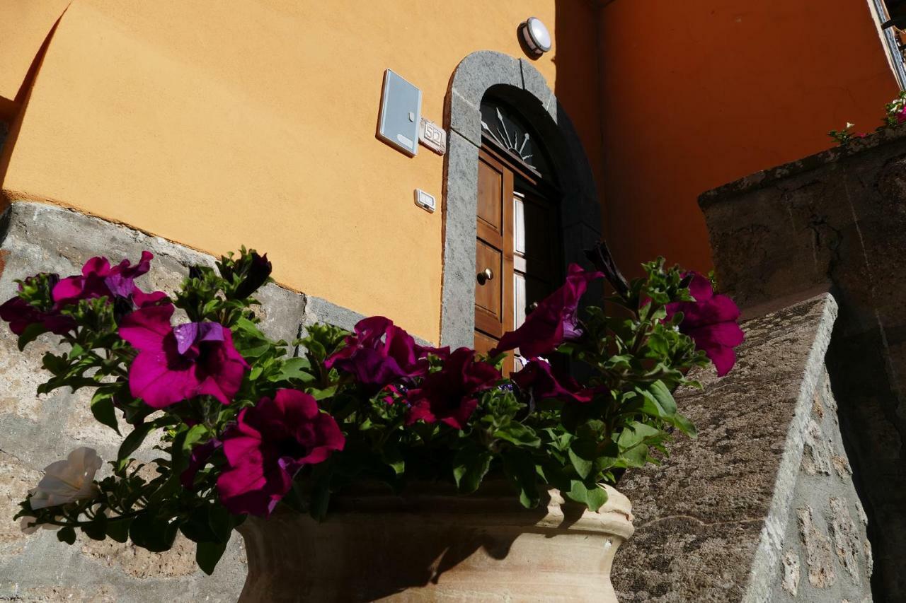 Francalancia52 Daire Bagnoregio Dış mekan fotoğraf