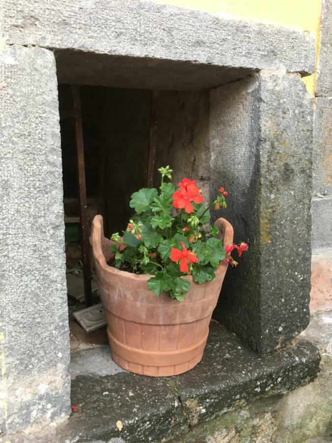 Francalancia52 Daire Bagnoregio Dış mekan fotoğraf